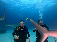 SharksL2_1.26.4