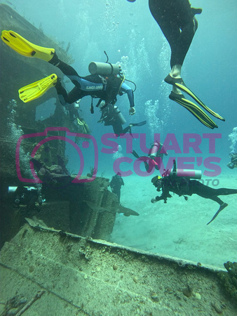 sharks_1.2.1