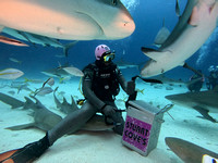 SharksLand_1.6.4